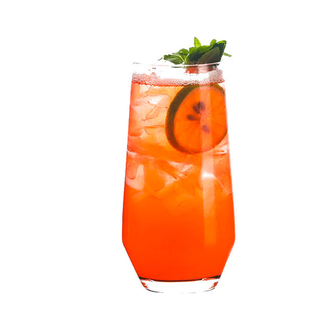 Verre Cocktail Collins Professionnel